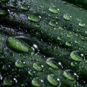 Владимирская область окажется под ударом стихии