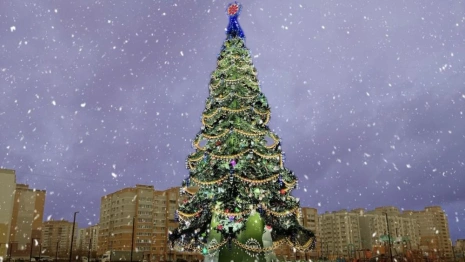 Старую новогоднюю ель с Соборной площади во Владимире перенесут в Юрьевец