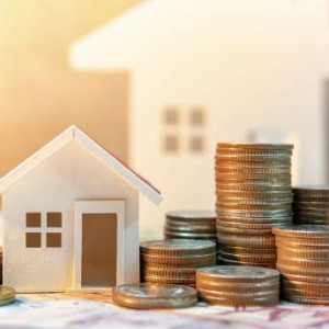 Во Владимирской области многодетным семьям предложили выбрать между деньгами и землей