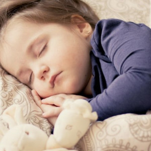 Во Владимирской области за месяц в трех семьях родились двойни