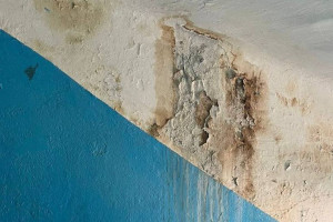 Директора управляющей компании в Кольчугино оштрафовали за плохое содержание дома