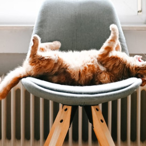 В квартиры владимирцев начали давать отопление