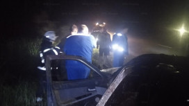 В Гусь-Хрустальном ночью легковушка сбила лося