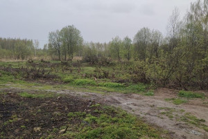 В Карабаново 48 многодетным семьям выдали участки без воды и нормальных дорог