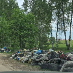 В Коврове въезд на кладбище превратили в свалку
