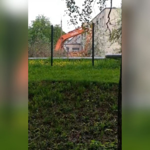 Во Владимире вырубили яблоневый сад ради можжевельника и туи