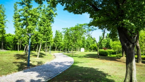 Прогноз погоды во Владимире и области на 28 мая