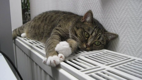 Мэр назвал дату старта отопительного сезона во Владимире