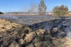 В Камешковском районе огонь охватил 25 га травы