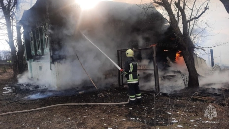 Спасители раскрыли подробности смертельного пожара под Судогдой