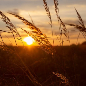 28 день Великого поста: что можно и нельзя 14 апреля