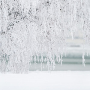 Жителям Владимирской области на рабочей неделе пообещали погодные качели