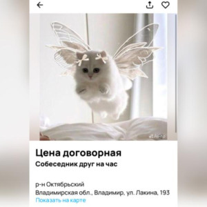 Во Владимире начали предлагать услуги собеседника на час