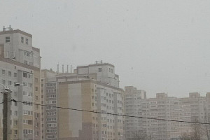 МЧС Владимирской области разослало экстренное предупреждение об урагане 15-17 м/с