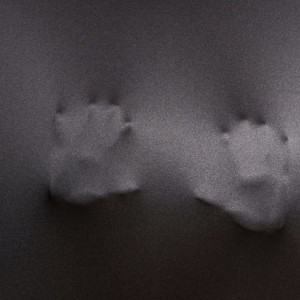 Во Владимире мать нашла труп 57-летнего сына