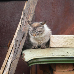 Прогноз погоды во Владимире и области на 6 декабря 2025 года