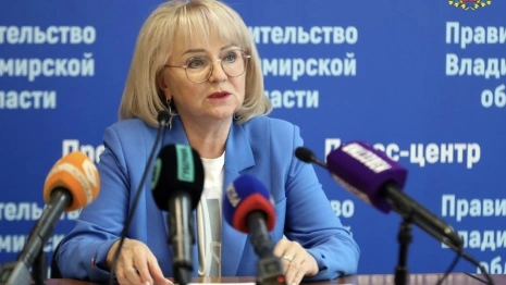 Владимирского министра соцзащиты наградили медалью