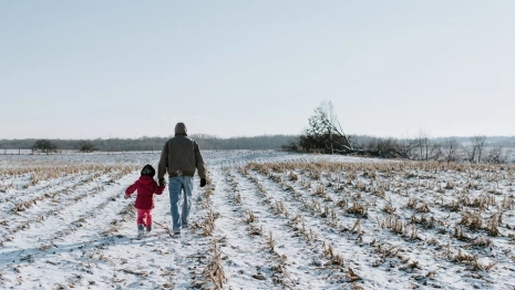 Ковровских чиновников через суд заставили дать землю 6 многодетным 
