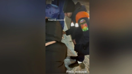 В Коврове у ребенка язык прилип к металлической стене