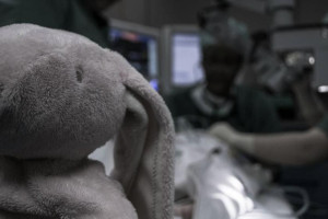 Во Владимирской области 8 детей погибли в ДТП