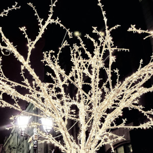 В Коврове сломали световые инсталляции и сухой фонтан