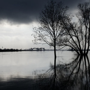 Во Владимирской области затопило 198 дворов и 6 дорог