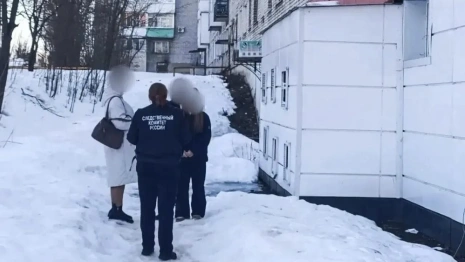 Падение ледяной глыбы на 9-летнюю девочку в Киржаче обернулось уголовным делом