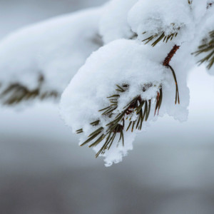 Во Владимирской области спрогнозировали первый сильный снегопад