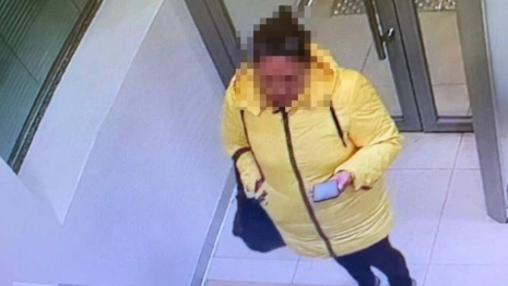 Во Владимирской области задержали телефонную мошенницу