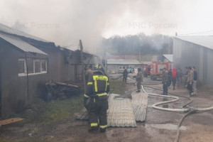 В Гусь-Хрустальном районе загорелся цех по производству гипсовых игрушек