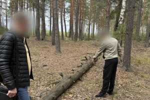 Попавшийся на покупке наркотиков житель Гусь-Хрустального пытался дать взятку полицейскому