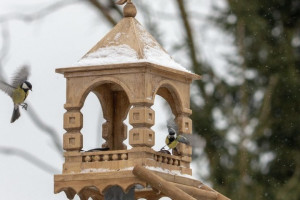 В Суздале мастера создали сказочную кормушку для птиц