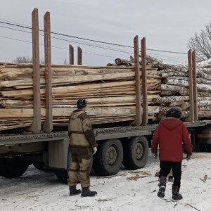 Бизнесмен из Киржачского района отправил в зоне СВО 50 кубов леса
