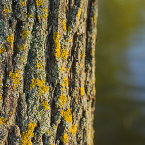 Во Владимирской области наступила климатическая весна