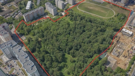 Козий парк во Владимире могут выставить на продажу