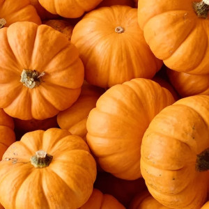 Врачи рассказали, какие сезонные продукты помогут укрепить иммунитет