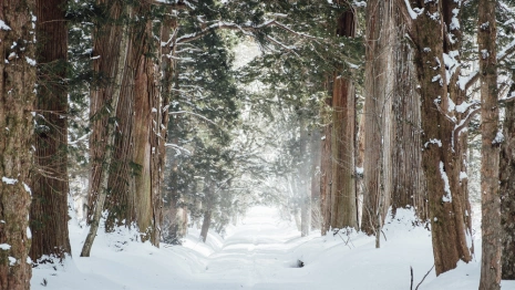 Прогноз погоды во Владимирской области на 30 января