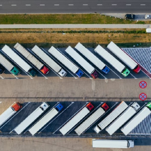 Жители деревни под Владимиром против соседства с 8-миллиардной стройкой центра Wildberries