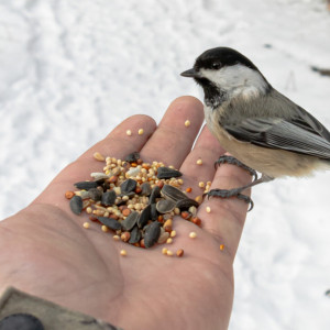 Народные приметы: что можно и нельзя делать 5 января на Федулов день