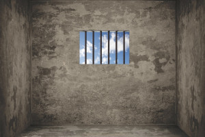 Во Владимирской области 2 завода и начальник колонии попали под санкции США