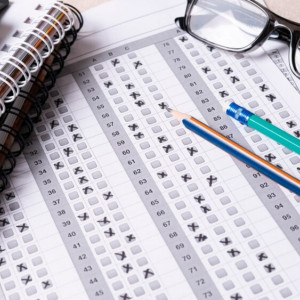 Во Владимирской области назвали имена первых 100-балльников на ЕГЭ