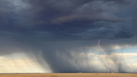 МЧС предупредило о грозе и шквалистом ветре во Владимирской области