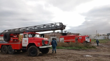 Спасатели рассказали о пожаре на птицефабрике под Владимиром 