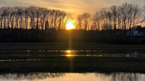 Яков Теплый: что можно и нельзя делать 13 мая