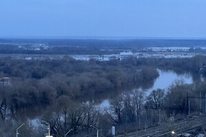 В выходные во Владимирской области отступят заморозки