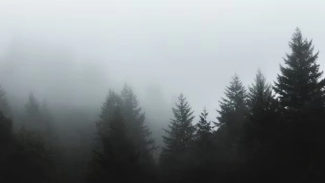 Народные приметы на 28 января 2024 года: что можно и нельзя делать в Павлов день