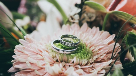 Во Владимире под суд пойдут организаторы фиктивных браков с иностранцами