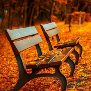 Во Владимирскую область придет бабье лето