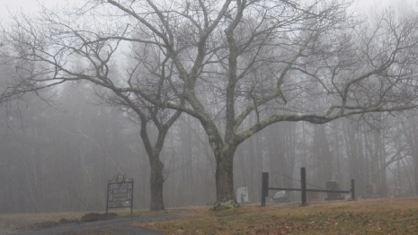 Убивший двух человек в Юрьев-Польском мужчина покончил с собой на кладбище