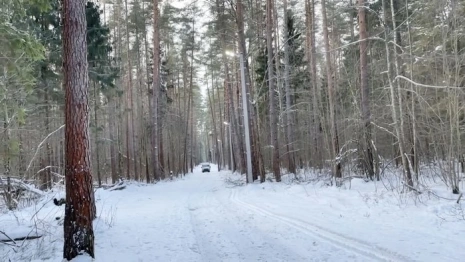 К Новому году в Гусь-Хрустальном районе откроют новую лыжную трассу